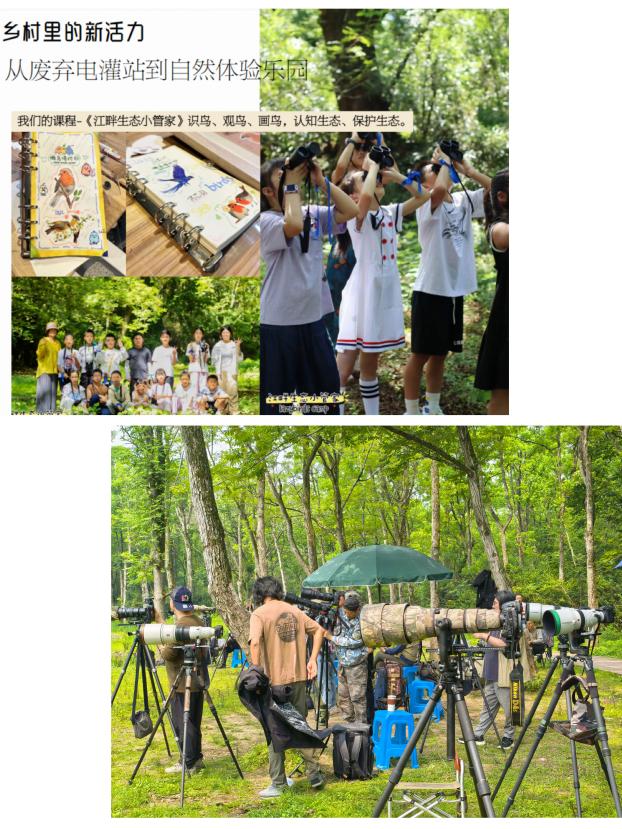 8000萬(wàn)熱度炸屏！屯溪“護(hù)村小祖宗”聯(lián)動(dòng)短劇頂級(jí)頭部平臺(tái)帶火綬帶鳥，短劇+文旅解鎖鄉(xiāng)村振興新密碼