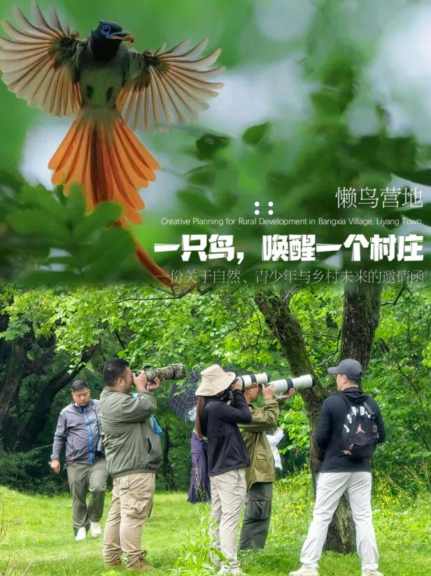 8000萬(wàn)熱度炸屏！屯溪“護(hù)村小祖宗”聯(lián)動(dòng)短劇頂級(jí)頭部平臺(tái)帶火綬帶鳥，短劇+文旅解鎖鄉(xiāng)村振興新密碼