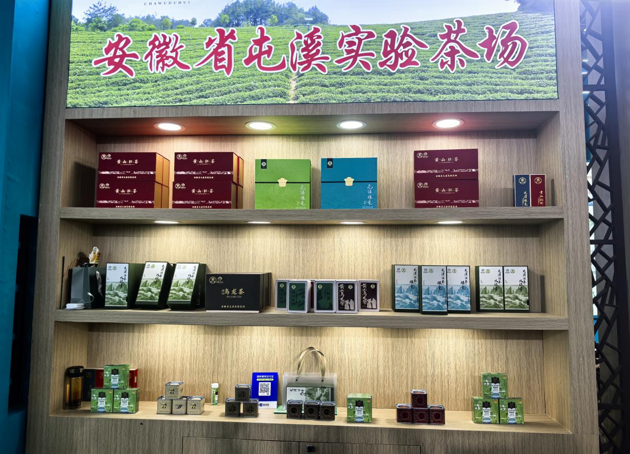 盛會(huì)展茗香 徽茶迎客來(lái)｜屯溪實(shí)驗(yàn)茶場(chǎng)亮相2026第十八屆安徽國(guó)際茶博會(huì)